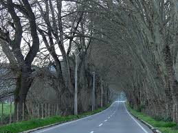 Avenida principal